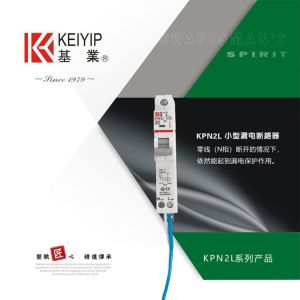 KPN2L小型漏電斷路器